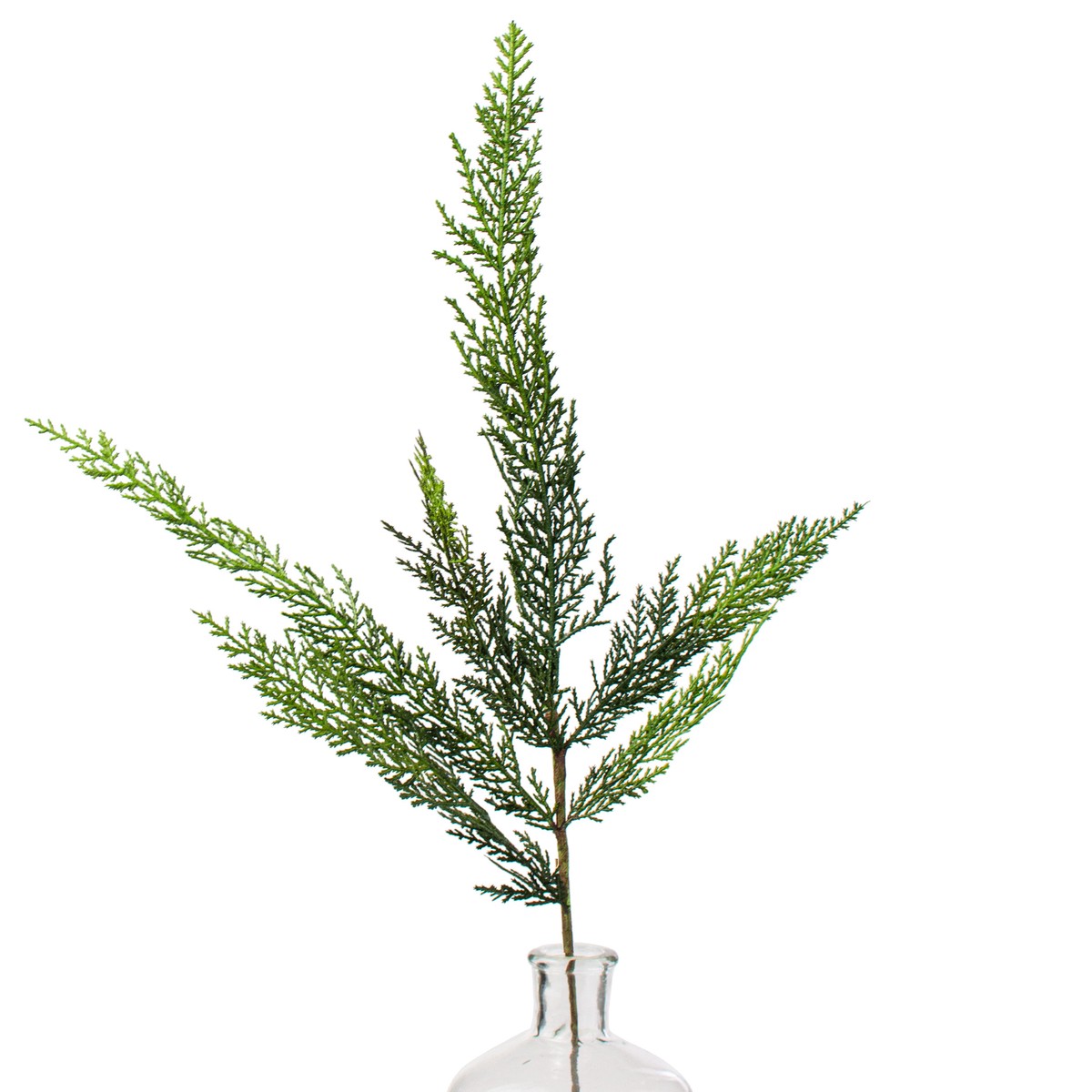 28" Evergreen Cypress Spray