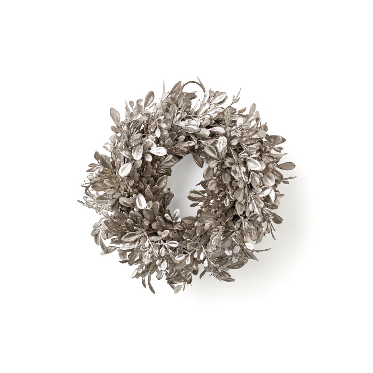 9" Boxwood Cabinet Wreath: Champagne