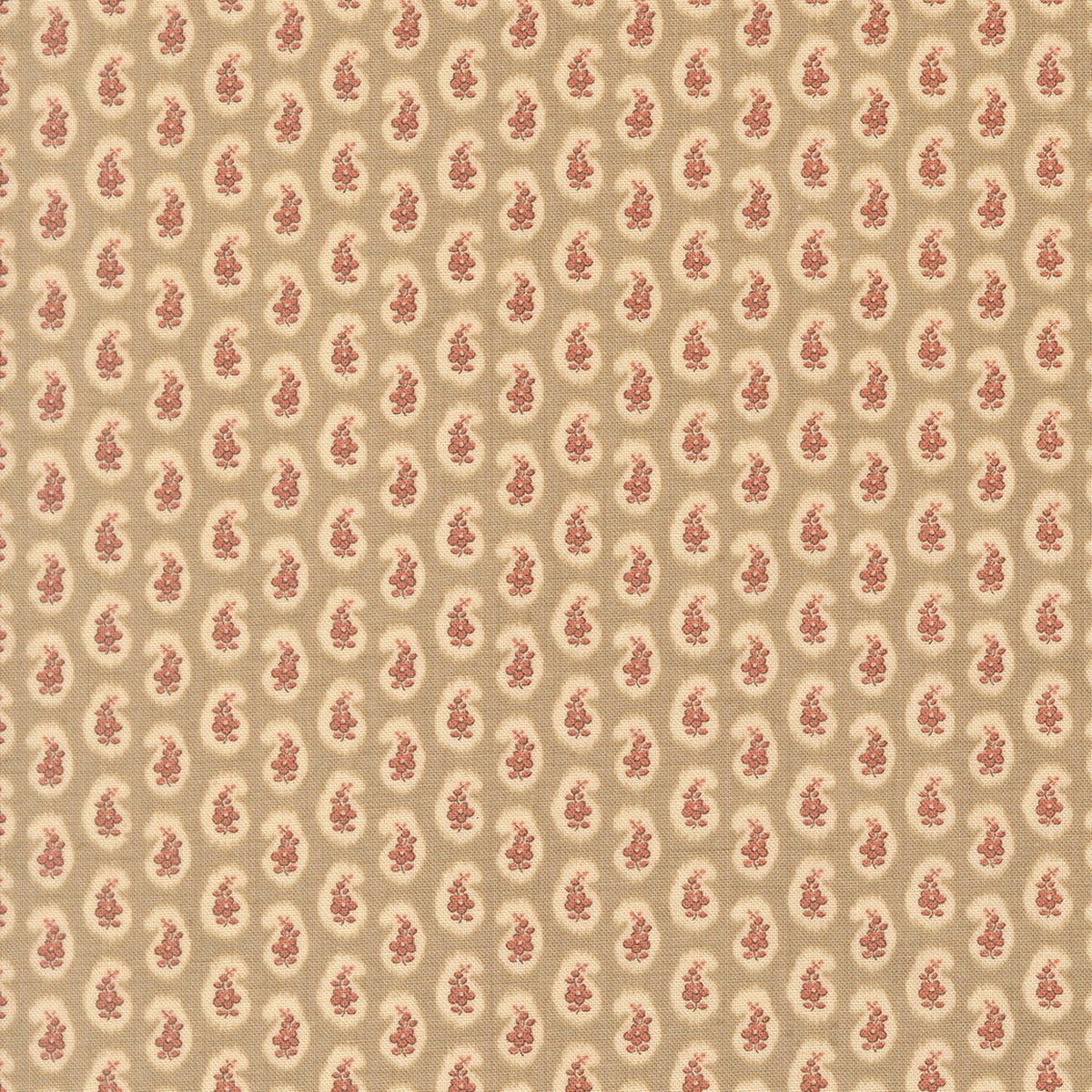 Le Jardin Rouge ~ Campanule Paisley 36157 13 Roche