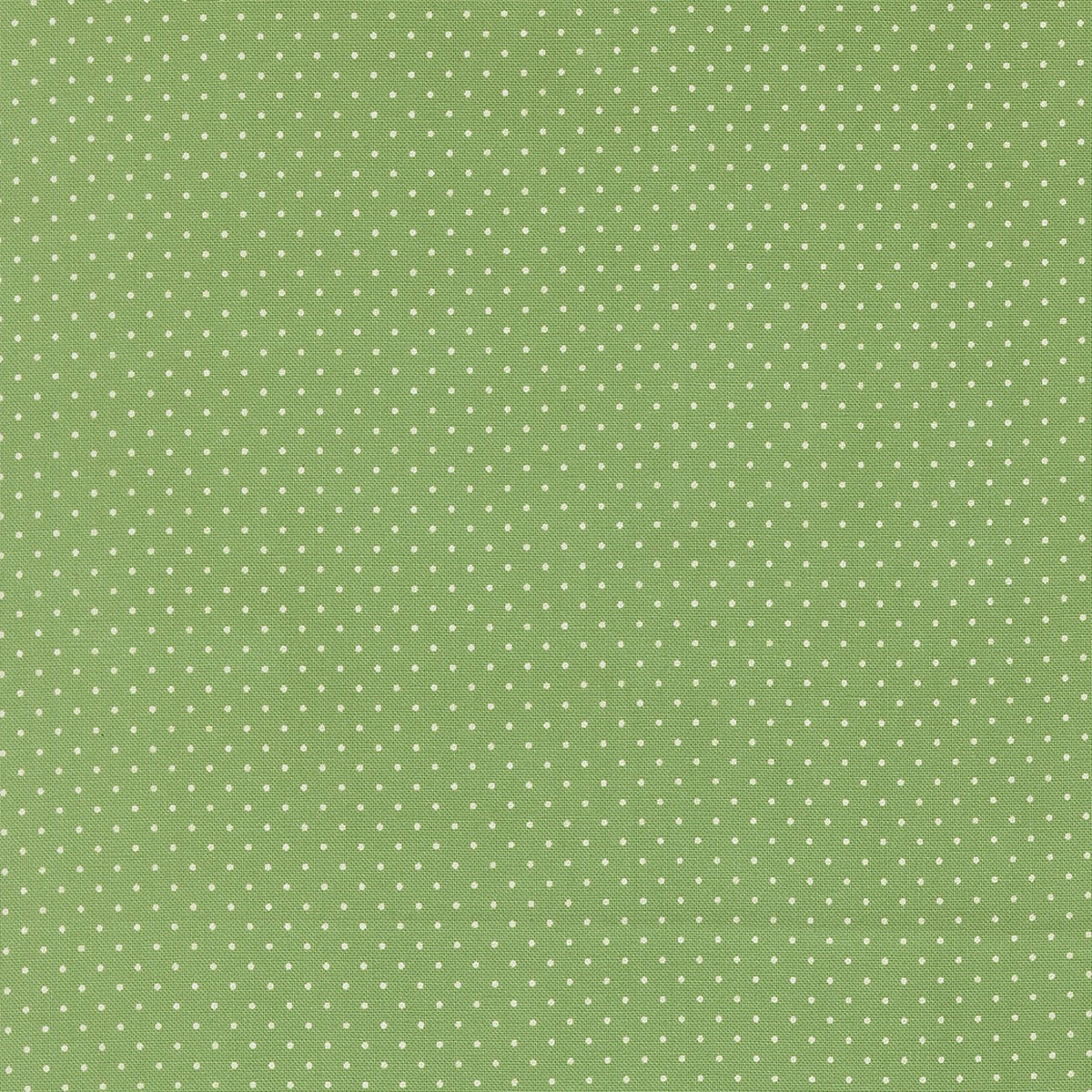 Merrily on High ~ Festive Dot ~ 43216 14 Evergreen