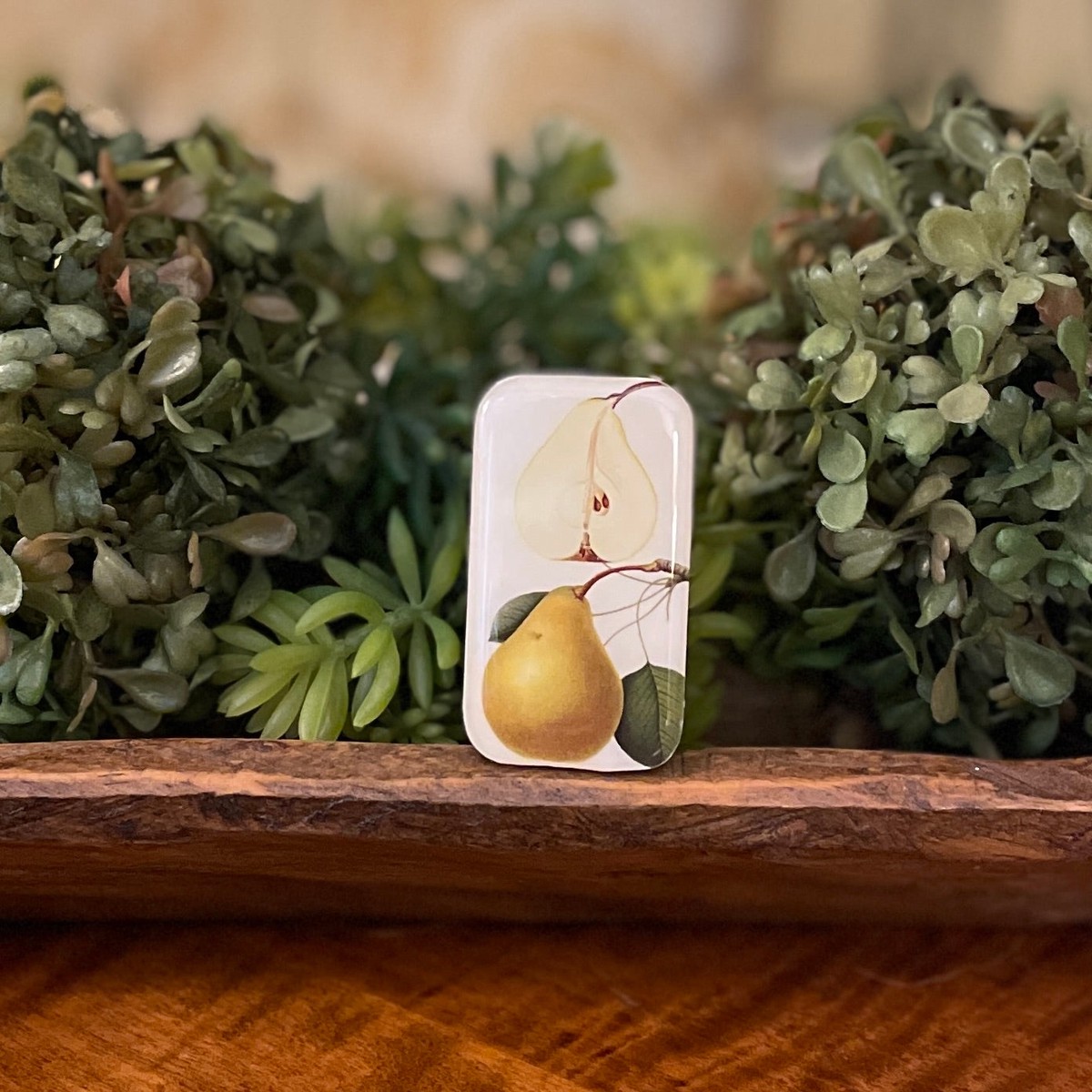 Tin Container Small | Botanical Pear