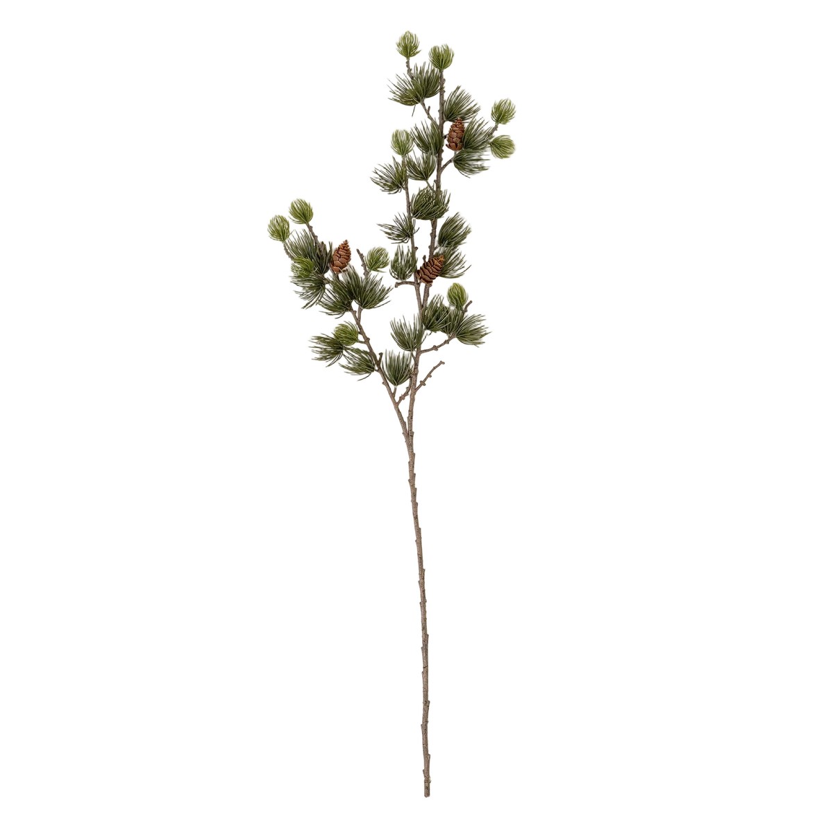 Alpine Larch Sprig
