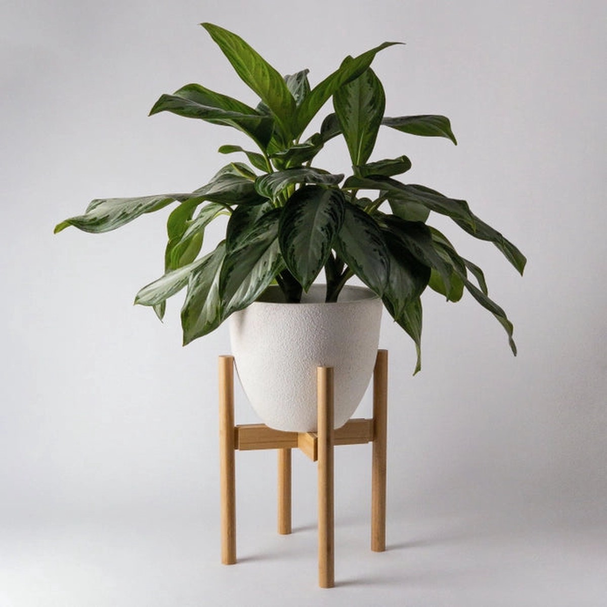 Adjustable Bamboo Plant Stand